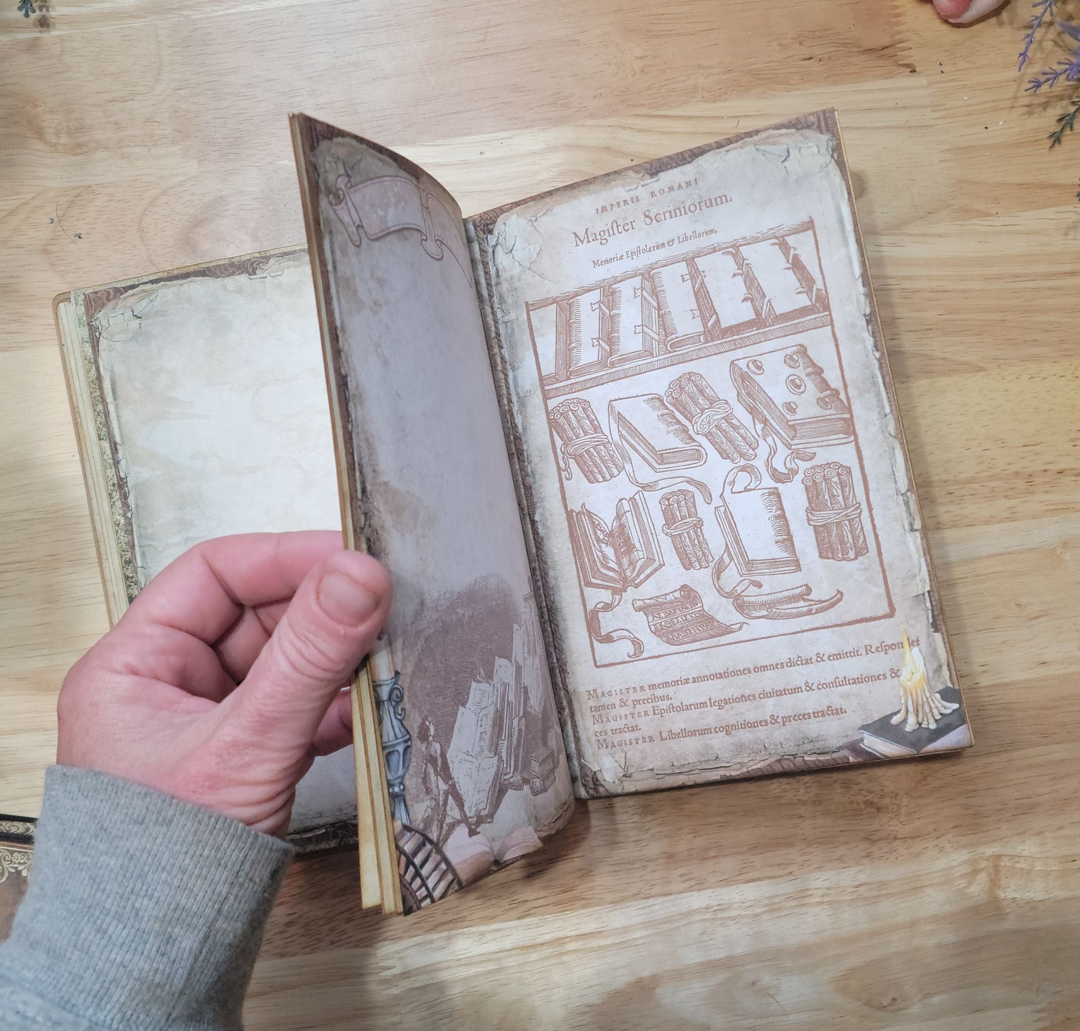 Library Themed Hybrid Journal
